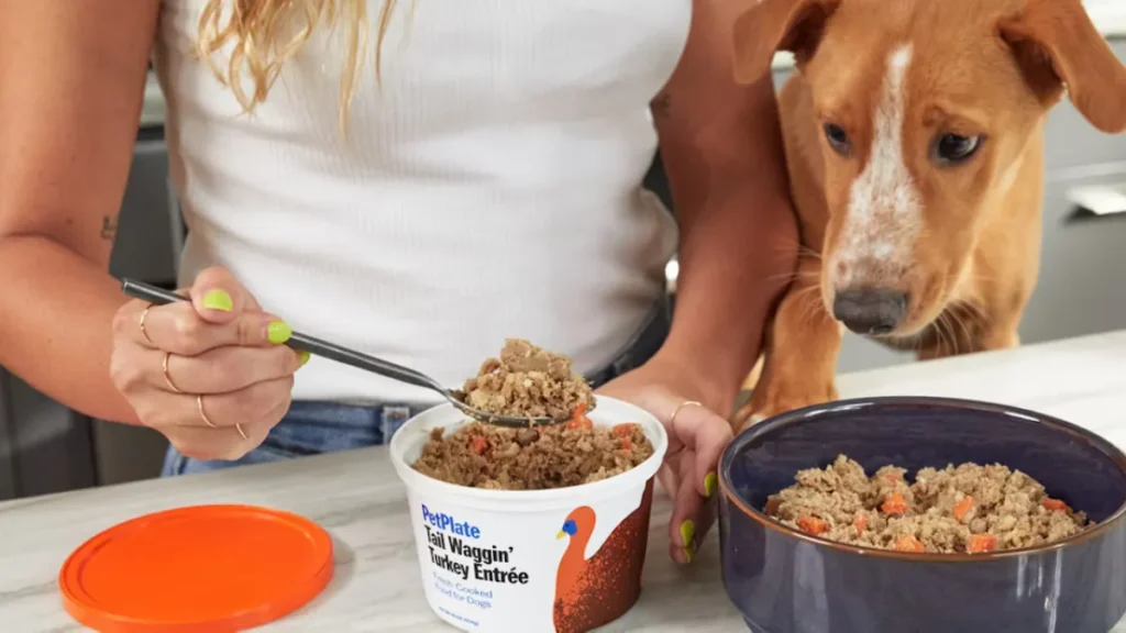 PetPlate Review – Is This Fresh Dog Food Worth It in 2025?